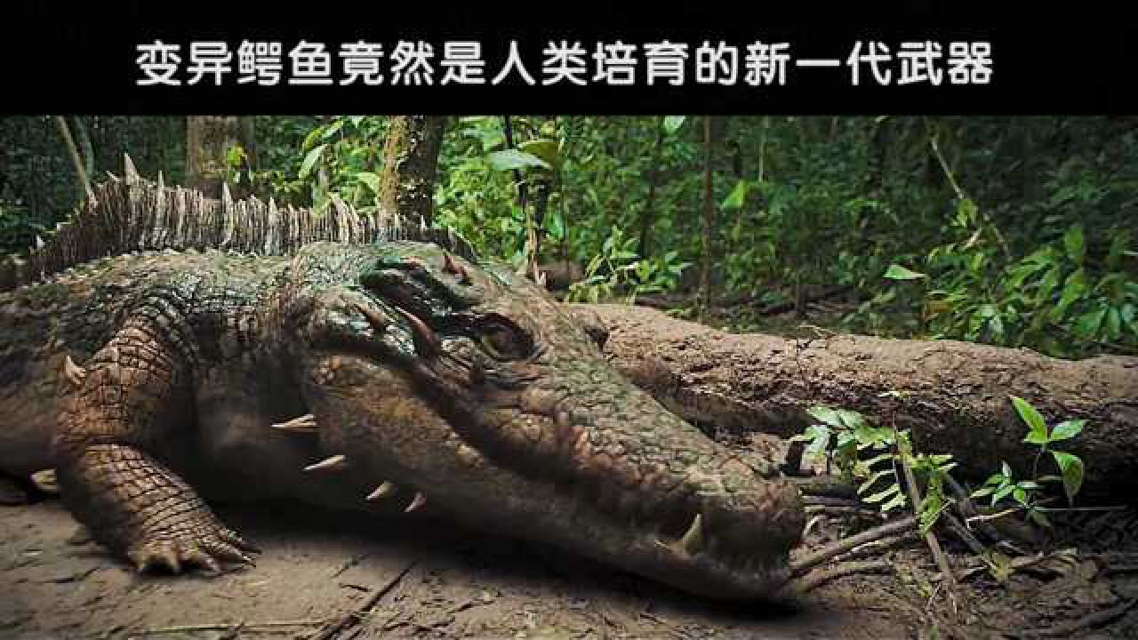 《夺命巨鳄》会隐身的变异鳄鱼,居然也是人类研究的秘密武器