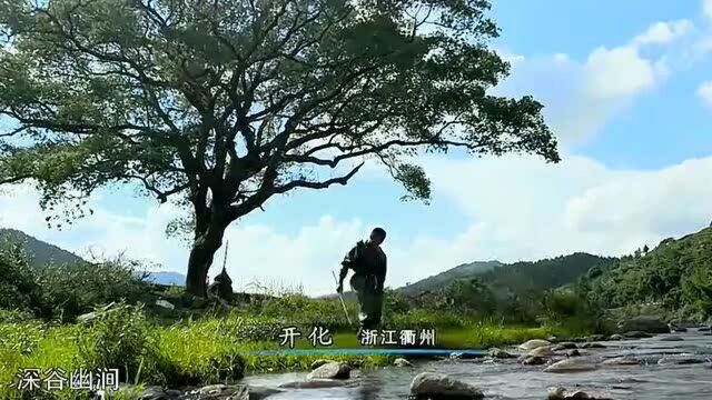 舌尖上的中国:渔民用危险的劳作,换来鲜美无比的青螺蛳!