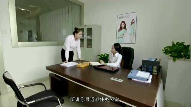 妻子跟老公吵架住在办公室,女同事却疯狂暗示,这是什么意思?