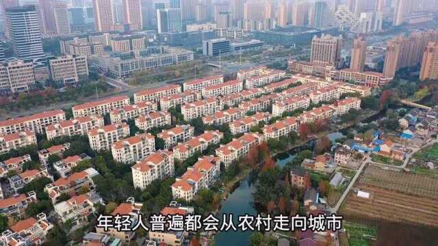 中国第一大城市,上海的农村是什么样的?带你进村走走就知道了