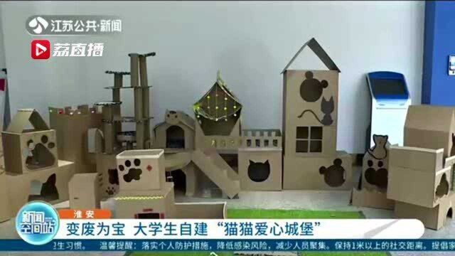 变废为宝 大学生自建“猫猫爱心城堡”