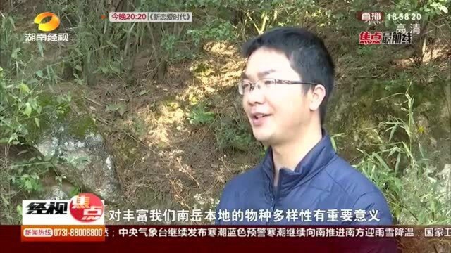 保护生态在行动 野化训练保护动物 三种鸟类放归自然