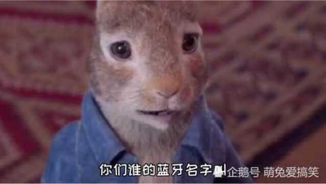 渣渣兔:究竟是谁?