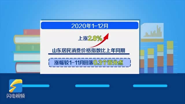 数据视场|2020年山东居民消费价格指数比上年同期上涨2.8%