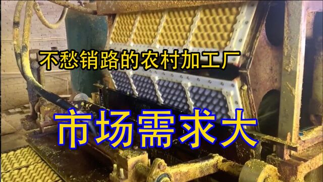 农村不起眼的加工厂,5个工人1台机器年入30万,适合你们吗