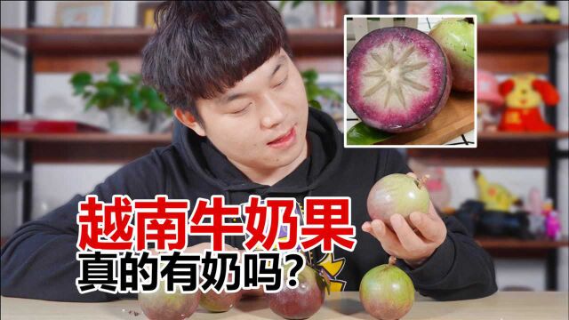 来自越南的牛奶果好吃吗?89.9元三斤,真的能挤出牛奶吗?