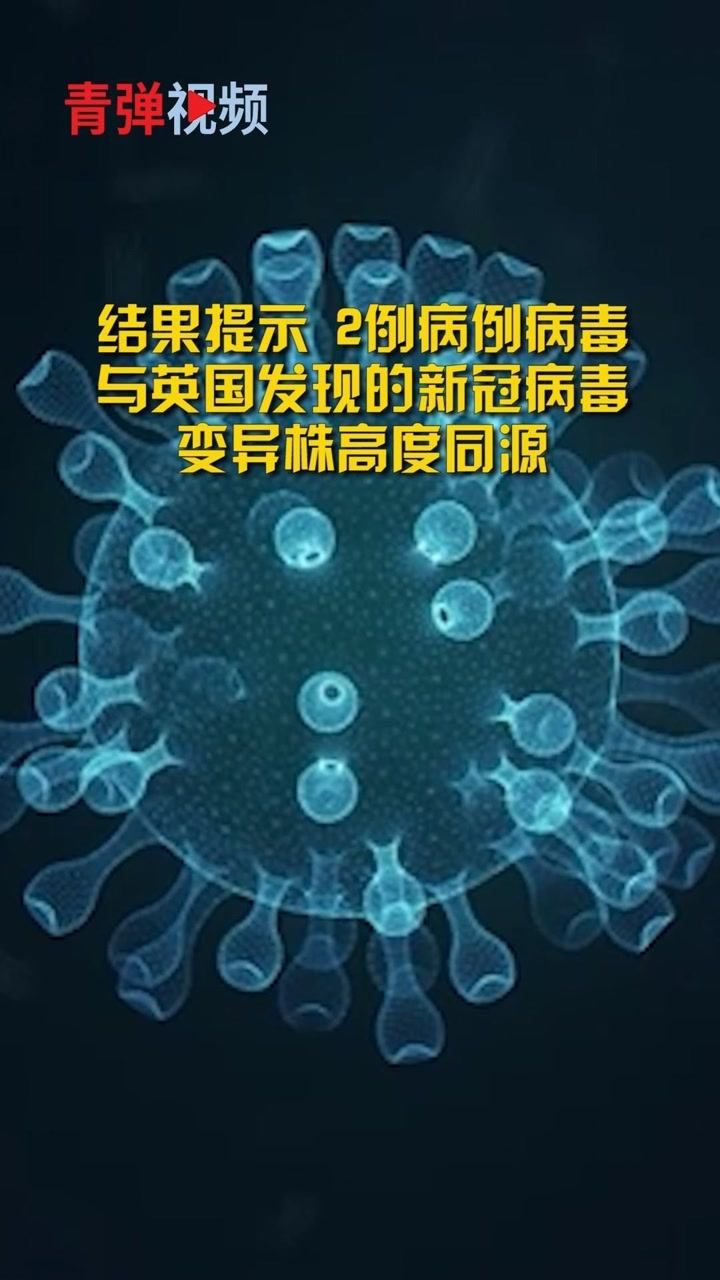北京大兴2例病例病毒为英国发现的变异株 初步判断为境外输入