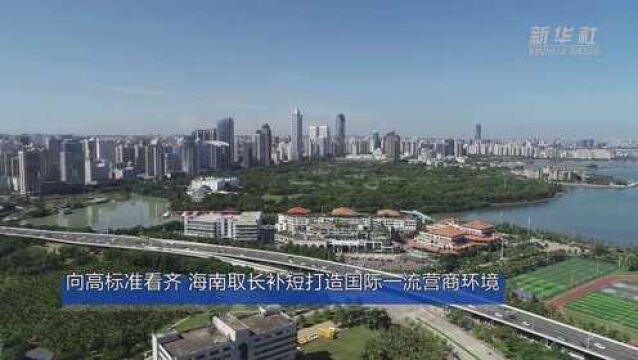 向高标准看齐 海南取长补短打造国际一流营商环境