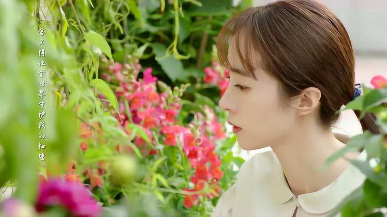 暗恋橘生淮南丨胡冰卿洛枳cut丨第一集p6洛枳在图书馆听说盛淮南分手