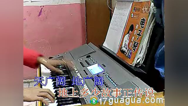 云淡风轻电子琴演奏蝶恋