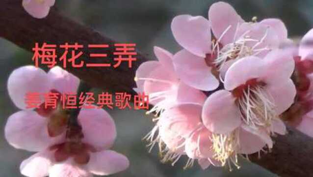 姜育恒经典歌曲《梅花三弄》一首能听醉的歌