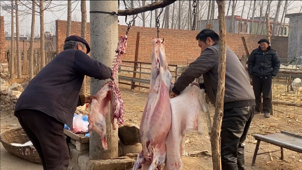 农村大爷专业杀羊40年,剥皮剔骨手法堪称一绝,不愧是杀羊世家_腾讯