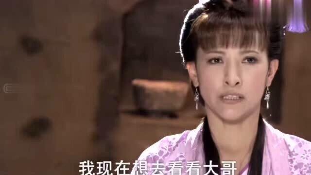 原来这就是夜明珠,涨知识了