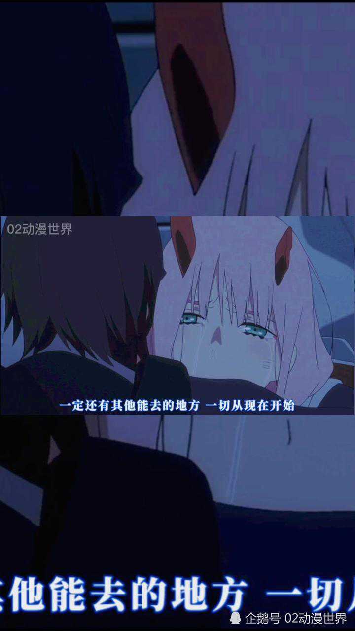 国家队0202和广想起了被销毁的记忆