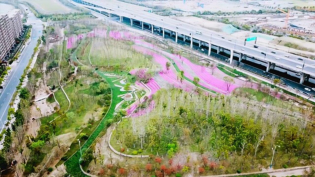 机场路绿廊三期先行区域景观绿化工程_腾讯视频