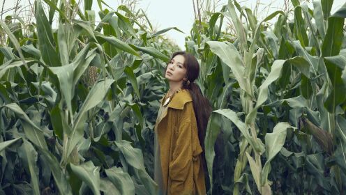 田馥甄Hebe 《无人知晓》专辑推出第9支MV《田》