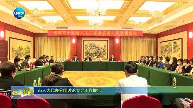 市人大代表分团讨论大会工作报告0205