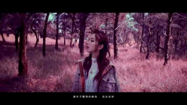 G.E.M.邓紫棋 – 句号 官方完整版MV