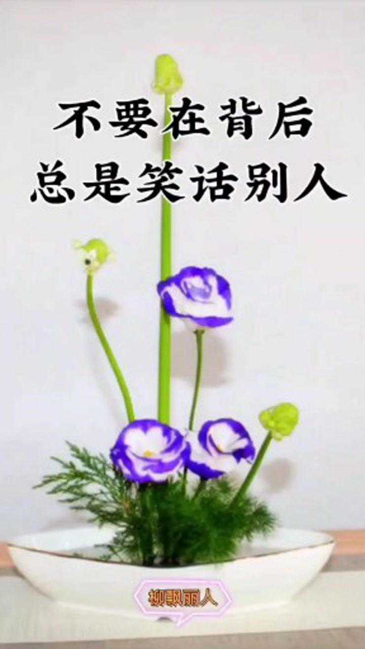 不要狗眼看人低