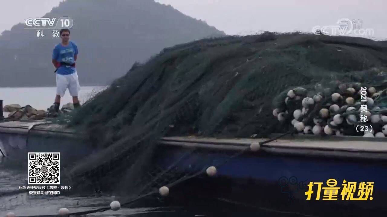 拦网、刺网、张网，千岛湖采用巨网捕鱼法，一次就能捕5万斤_腾讯视频