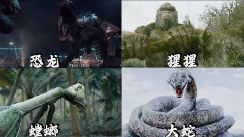这四个《变异怪兽》，你觉得哪个更厉害，变异恐龙超级无敌