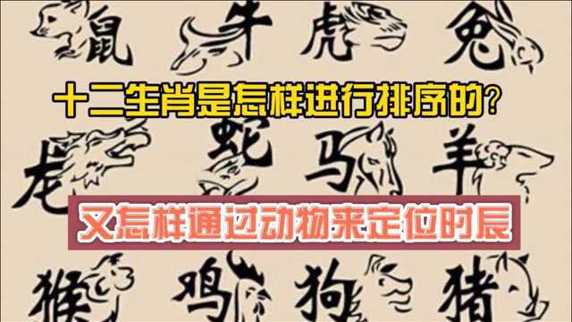 十二生肖是怎样进行排序?古人又怎么通过动物来定位时辰的.