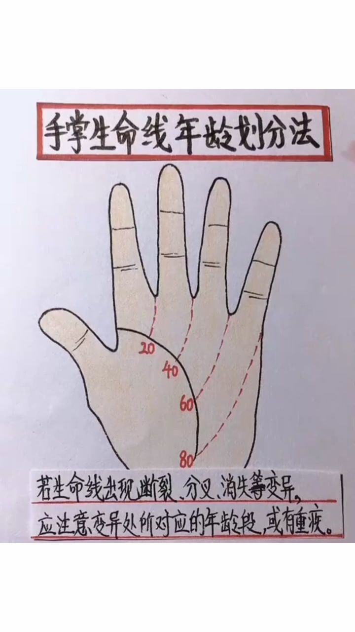手掌生命线年龄划分法
