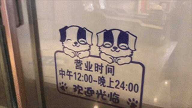 大门紧闭 广告被撕!成都9.9元共享猫咪店“凉了”