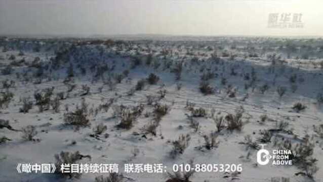 瞰中国|去古尔班通古特沙漠“觅”雪景