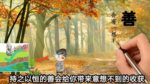 持之以恒的善,会给你带来意想不到的收获,善待他人福报自己!