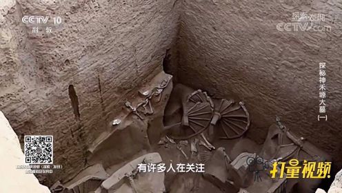 神禾塬发现疑似西周王陵，考古队挖掘却突然出现警觉
