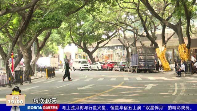 广州:猫咖推出免费养猫服务,交押金就可以养一周