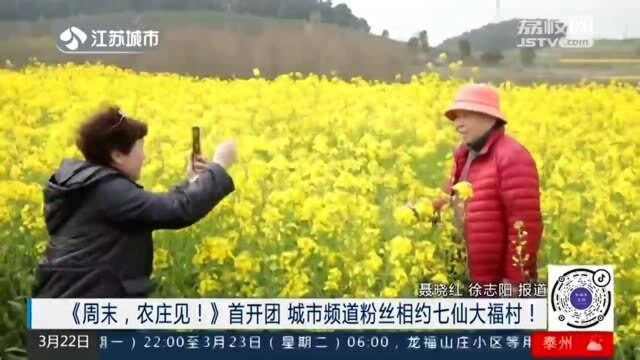 江苏城市频道组织线下旅游团 与粉丝相约七仙大福村