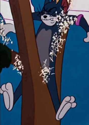 汤姆卡点秀先有汤姆后有天裆劈大树赛神仙