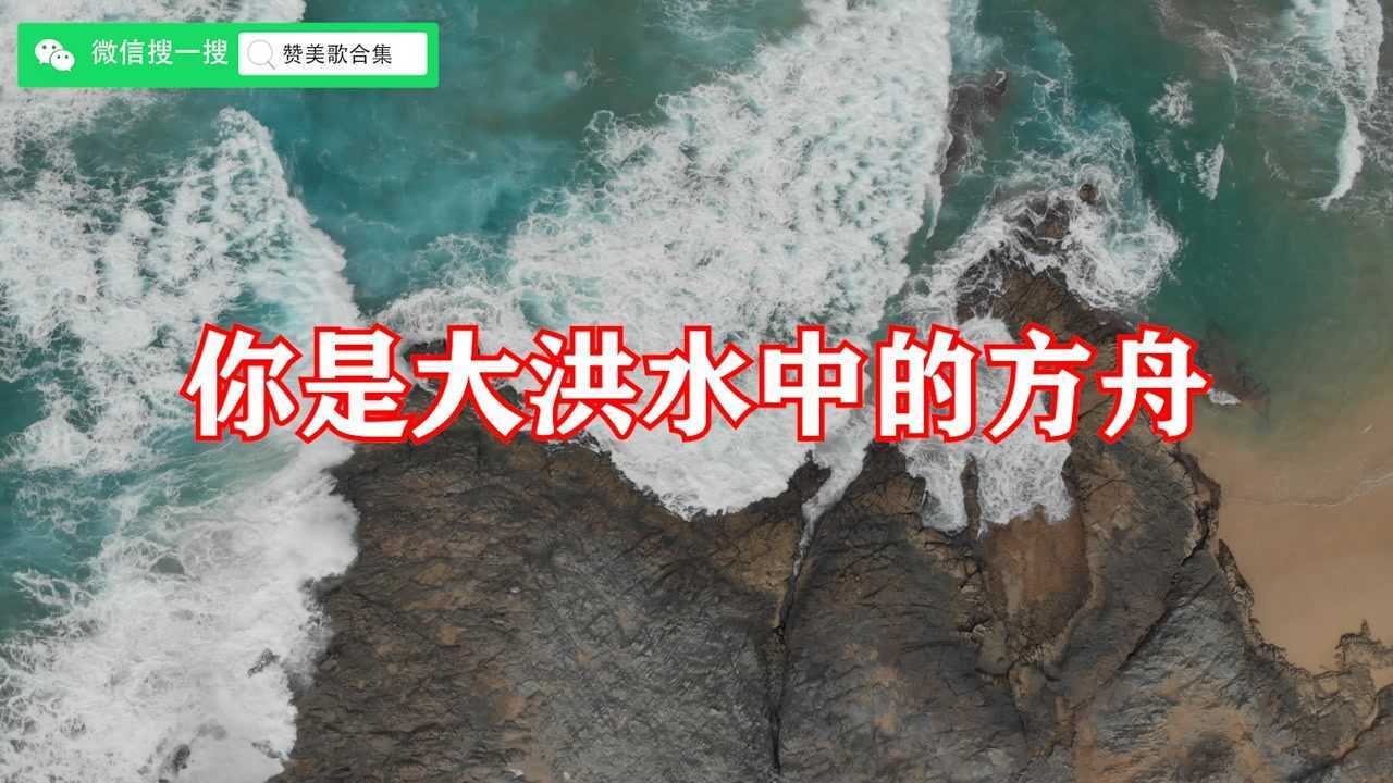 你是大洪水中的方舟