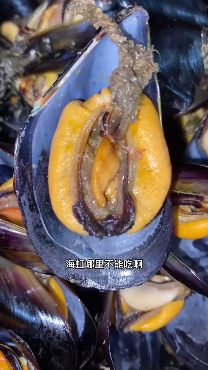 海虹有毒是不是真的图片