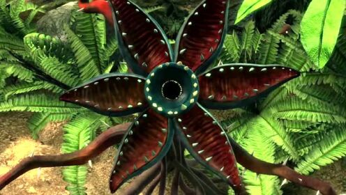 食人花真的会吃人能躲过危机欢迎收看此视频