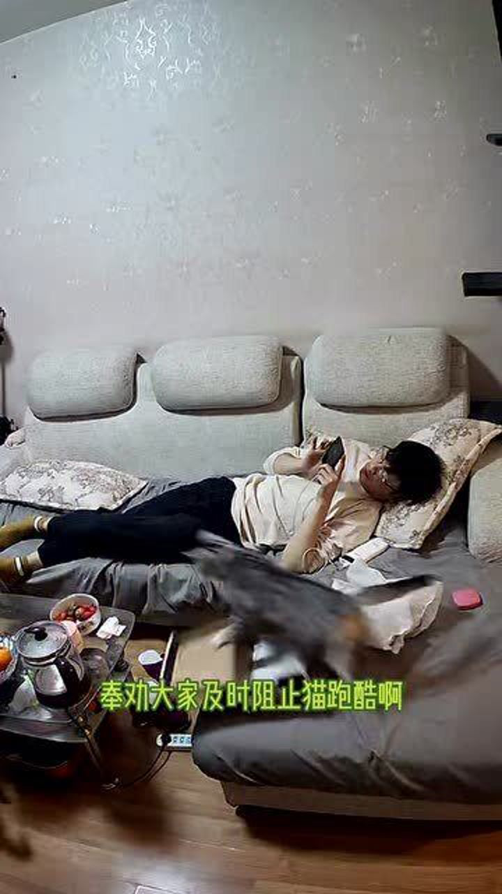 这是一场蓄谋已久的报复_高清1080P在线观看平台_腾讯视频