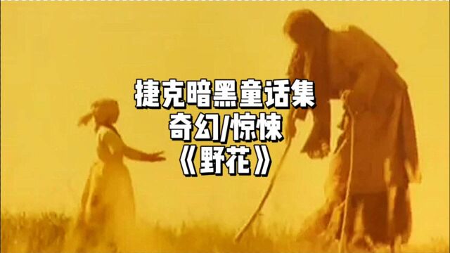 详解捷克暗黑童话,经典斯拉夫民间故事,奇幻恐怖电影《野花》