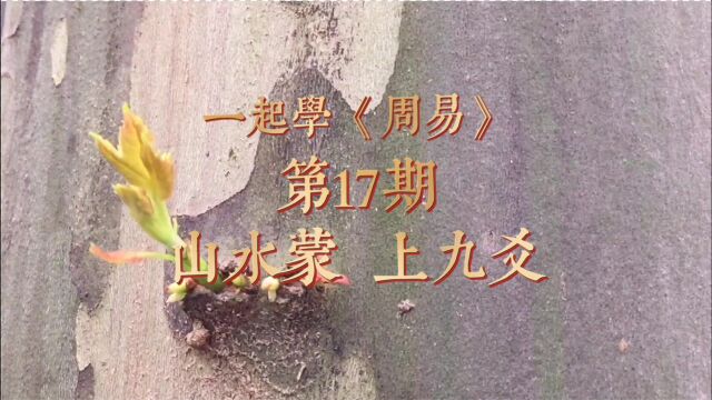 启发引导,循序渐进,国学经典《周易》64卦第17期,“山水蒙”上九详解