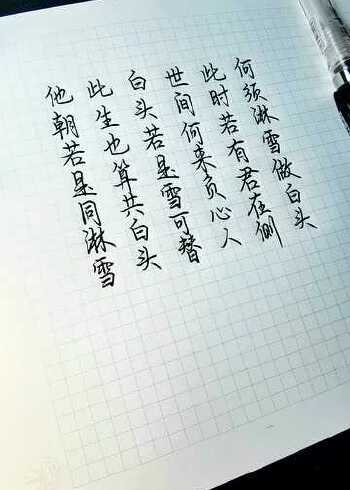 白头若是雪可替,世间何来负心人.#文字 #手写