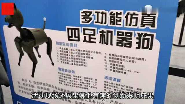 “机甲大师”强强对决 三百余名高校学子在蓉同台竞技