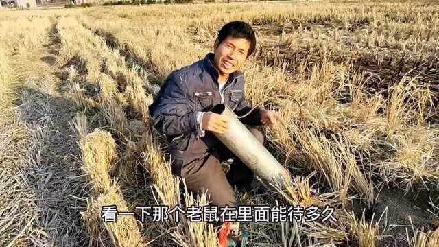 广西农村大哥自己制作的灭鼠烟通真厉害,一炮下去鼠害无处可逃!