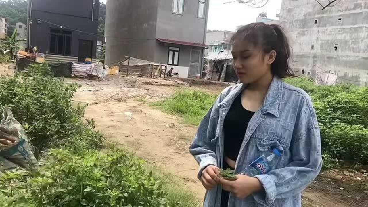 和越南女网友见面,黄宝强开高工资请她做团队,大家觉得怎样?