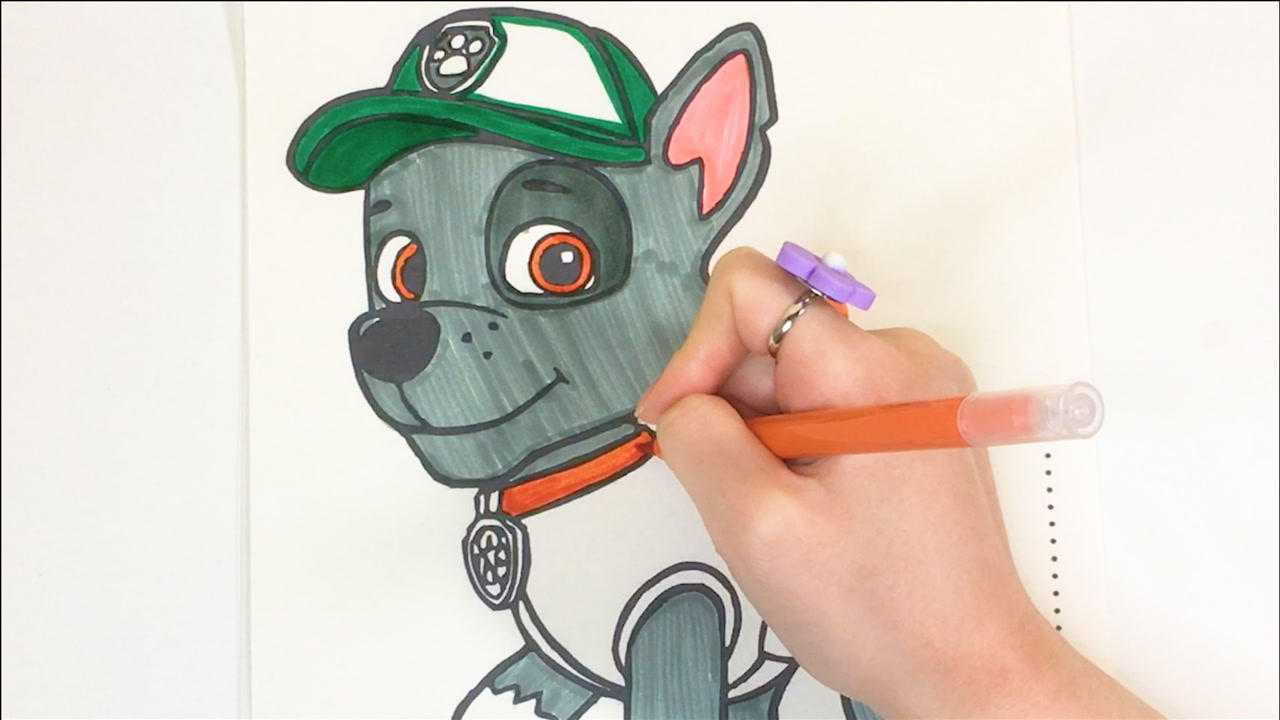 汪汪队立大功简笔画给绿色衣服的灰灰涂色吧儿童颜色训练