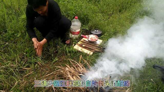 巍巍大山中葱葱竹子林 挖点竹笋炖肉鲜味