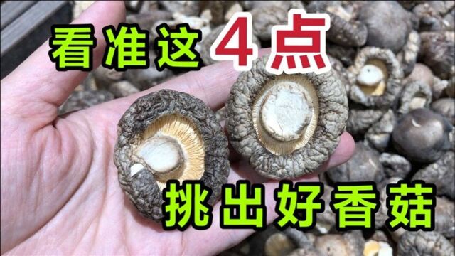 聪明人买干香菇,只需看准这4点,干货老板:真厉害,遇到行家了