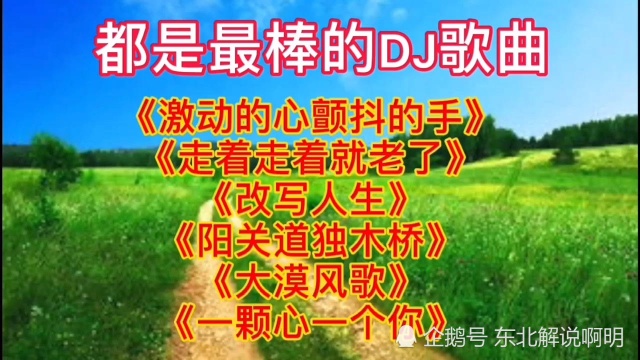 好听的DJ歌曲串烧《改写人生》《阳光道独木桥》《大漠风歌》等