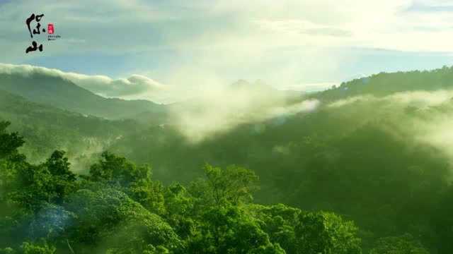 保山生物多样性宣传片《花开高黎贡》完整版