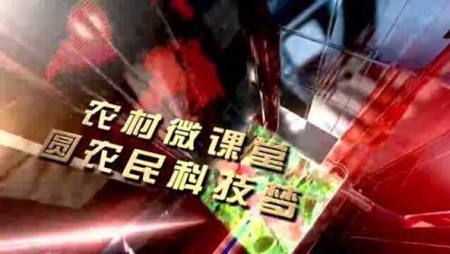 4.30农业农村部:我国启动新一轮畜禽遗传改良计划